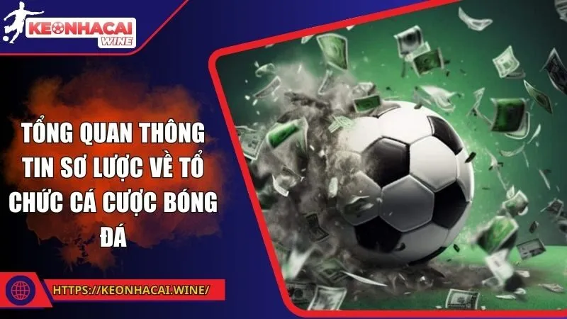 Tổng quan thông tin sơ lược về tổ chức cá cược bóng đá